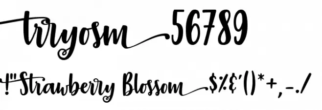 StrawberryBlossom Font OTHER CHARS