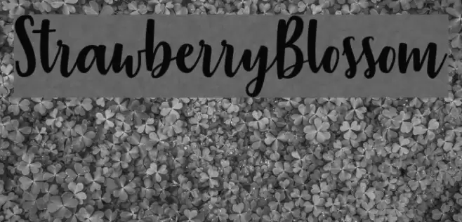 StrawberryBlossom Font examples