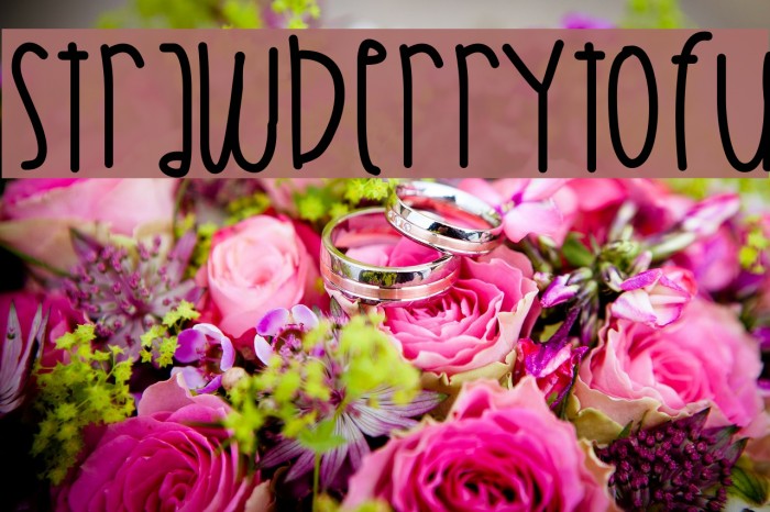 StrawberryTofu Font examples