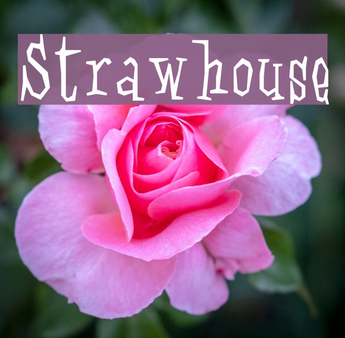 Strawhouse Font examples