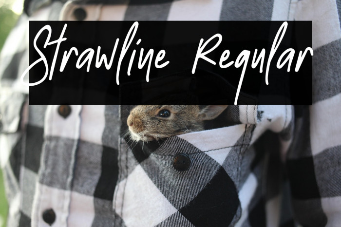 Strawline Regular Example 3