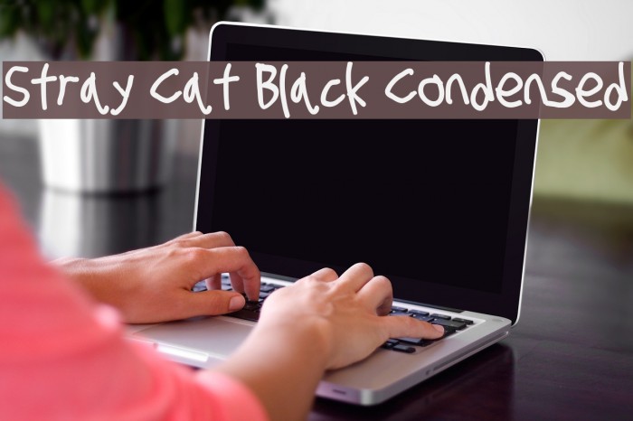 Stray Cat Black Condensed Font examples