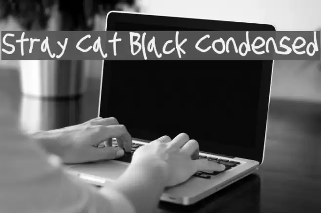 Stray Cat Black Condensed examples