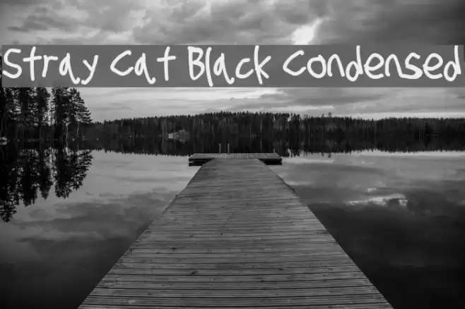 Stray Cat Black Condensed examples