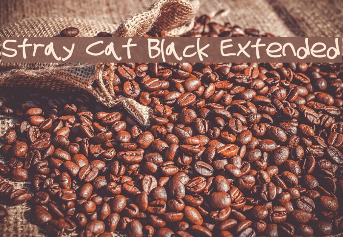 Stray Cat Black Extended Example 3