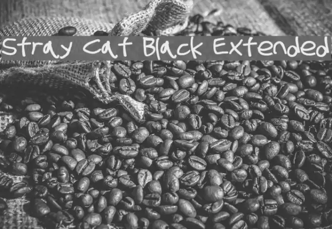 Stray Cat Black Extended examples