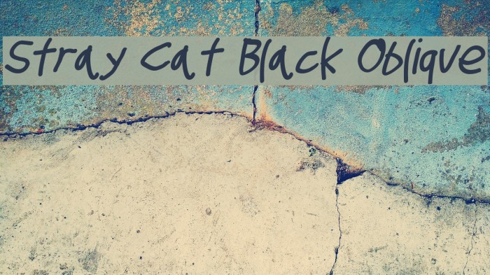 Stray Cat Black Oblique Font examples