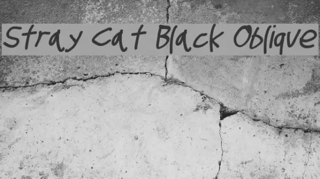 Stray Cat Black Oblique examples