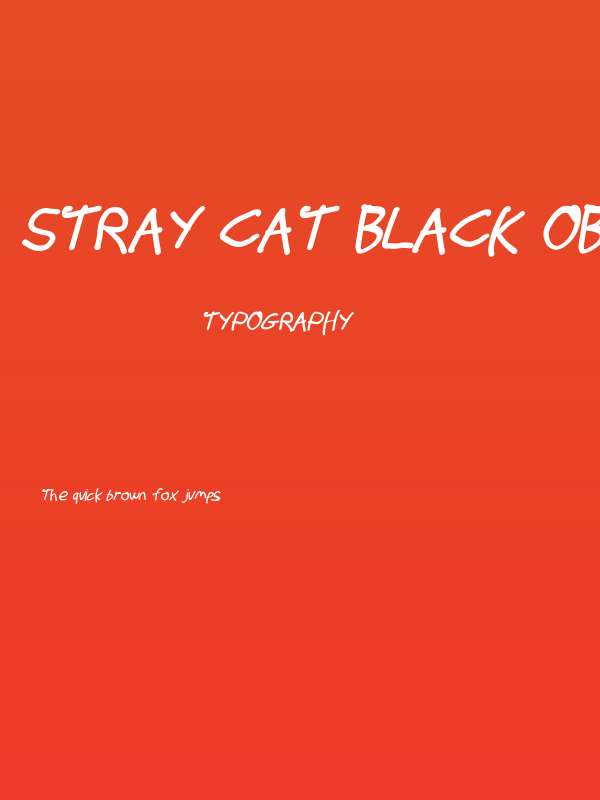 Stray Cat Black Oblique Poster