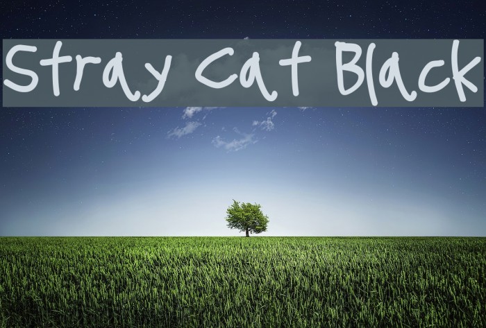 Stray Cat Black Font examples