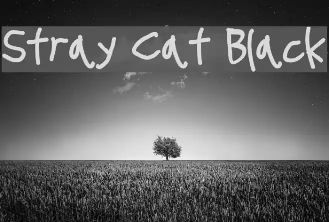Stray Cat Black examples
