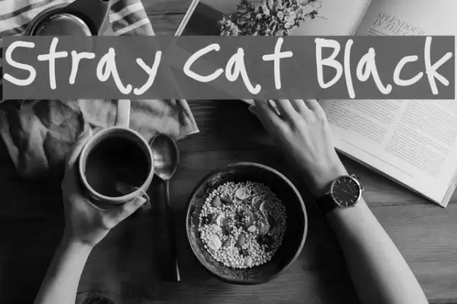 Stray Cat Black examples