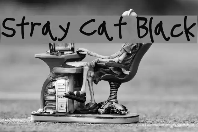 Stray Cat Black examples