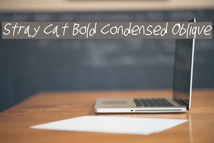 Stray Cat Bold Condensed Oblique Font examples