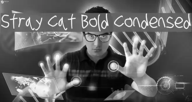 Stray Cat Bold Condensed examples