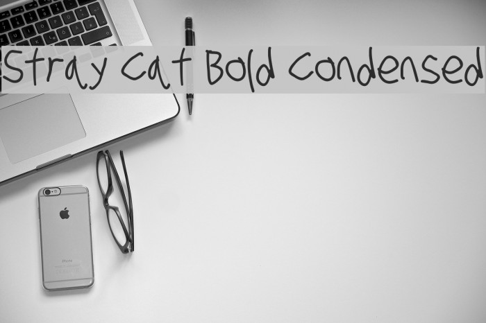 Stray Cat Bold Condensed Font examples