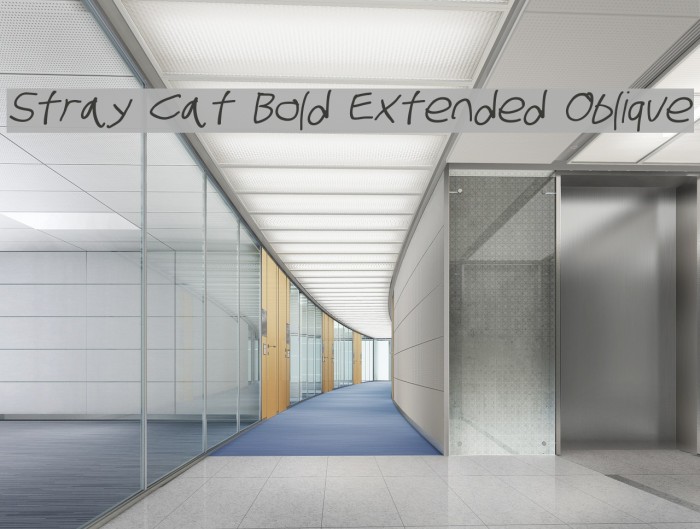 Stray Cat Bold Extended Oblique Font examples