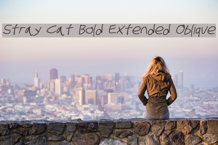 Stray Cat Bold Extended Oblique Font examples