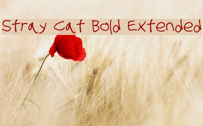 Stray Cat Bold Extended Font examples