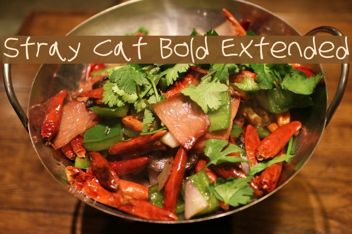 Stray Cat Bold Extended Font examples