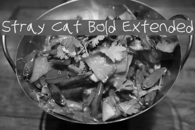 Stray Cat Bold Extended examples