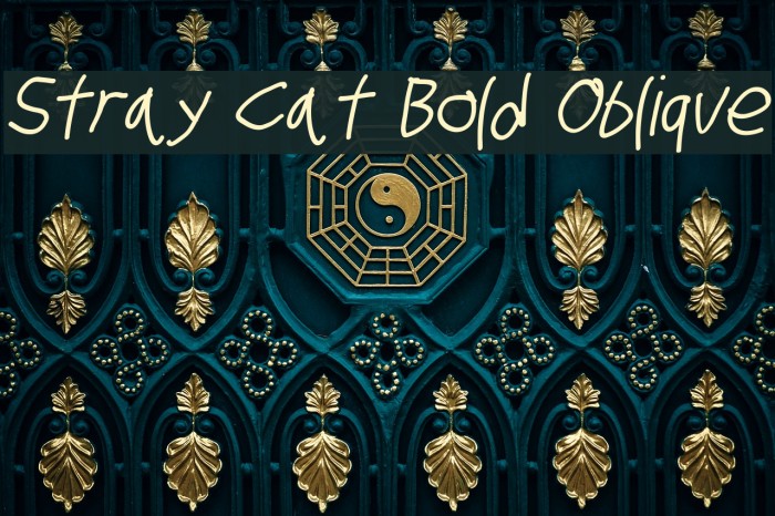 Stray Cat Bold Oblique Example 1