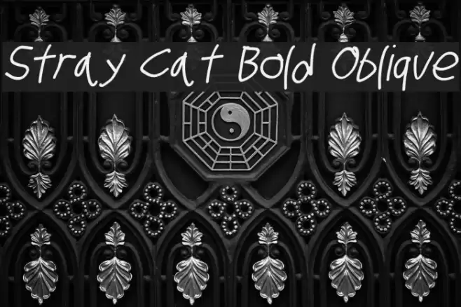 Stray Cat Bold Oblique examples
