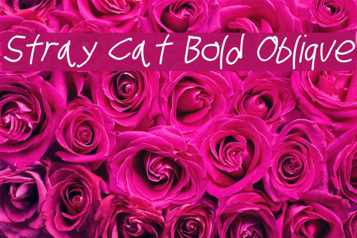 Stray Cat Bold Oblique Example 2