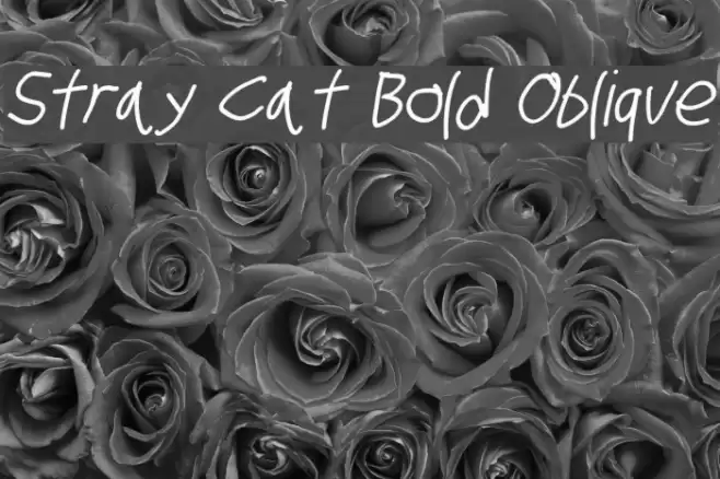Stray Cat Bold Oblique examples