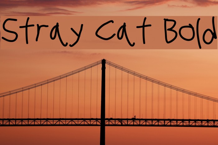 Stray Cat Bold Font examples
