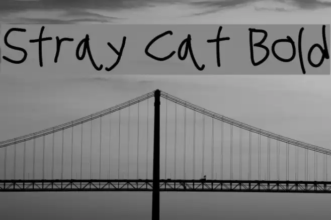 Stray Cat Bold examples