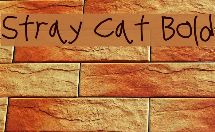 Stray Cat Bold Font examples