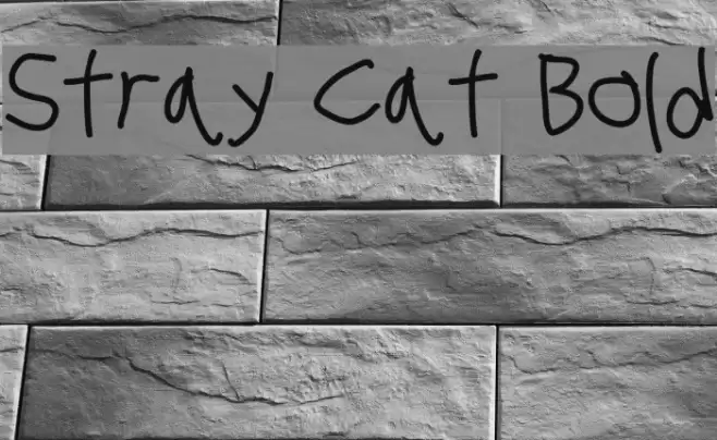 Stray Cat Bold examples