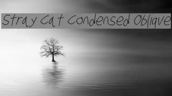 Stray Cat Condensed Oblique フォント examples