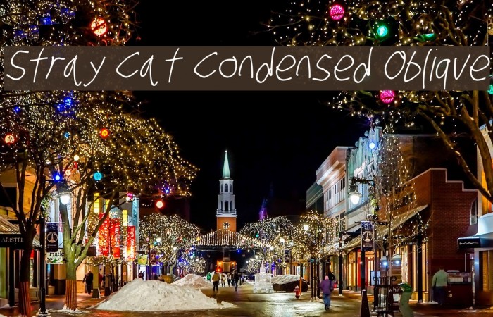 Stray Cat Condensed Oblique Font examples