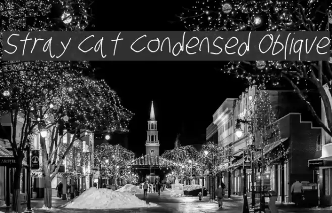 Stray Cat Condensed Oblique フォント examples
