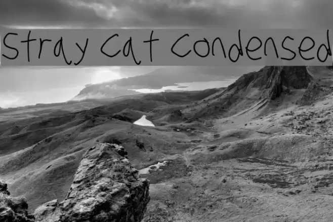 Stray Cat Condensed examples