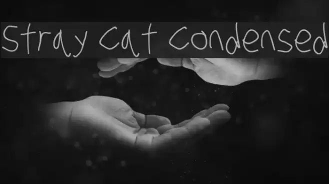 Stray Cat Condensed examples