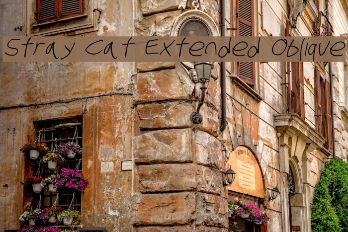 Stray Cat Extended Oblique Font examples