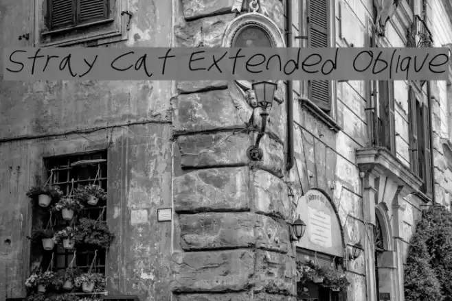 Stray Cat Extended Oblique Font examples