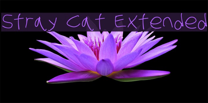 Stray Cat Extended Font examples