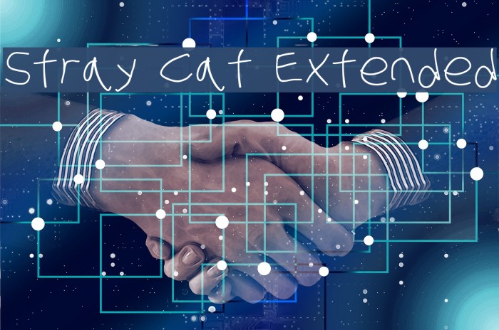 Stray Cat Extended Font examples