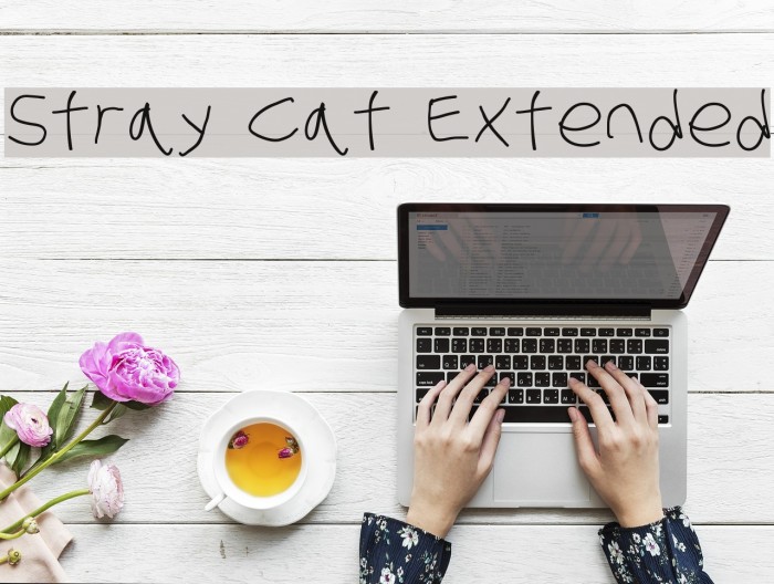 Stray Cat Extended Font examples