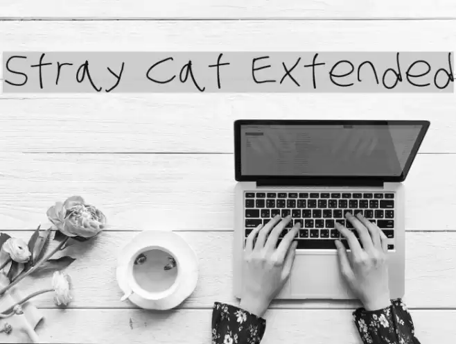 Stray Cat Extended examples
