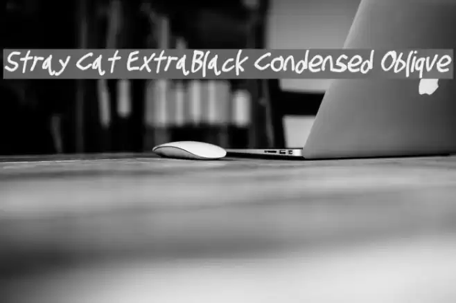 Stray Cat ExtraBlack Condensed Oblique Font examples