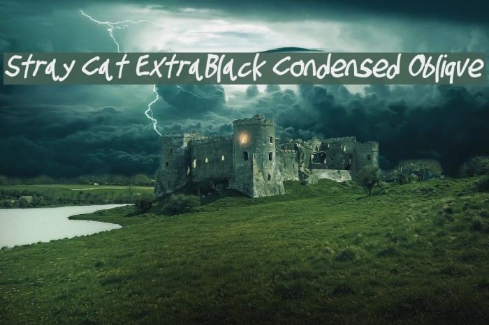 Stray Cat ExtraBlack Condensed Oblique Example 2