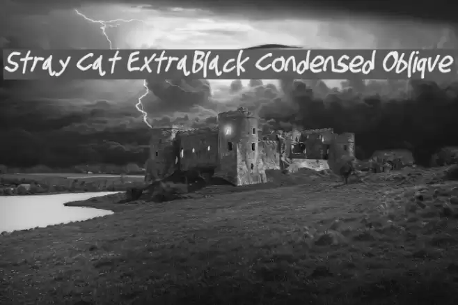 Stray Cat ExtraBlack Condensed Oblique Font examples