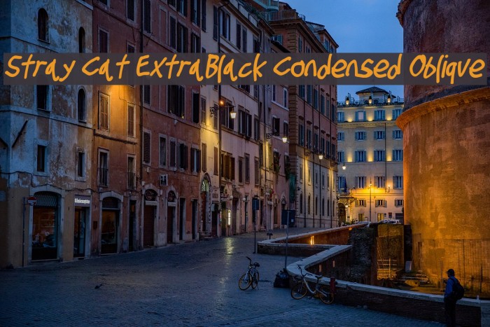 Stray Cat ExtraBlack Condensed Oblique Example 3