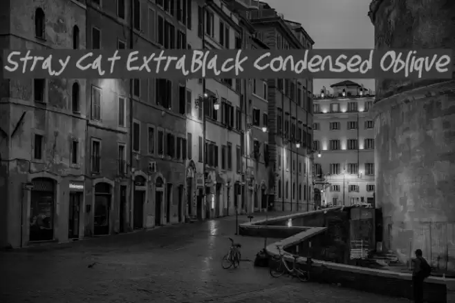 Stray Cat ExtraBlack Condensed Oblique Font examples