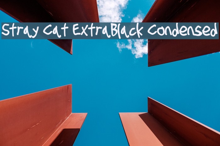 Stray Cat ExtraBlack Condensed Example 1